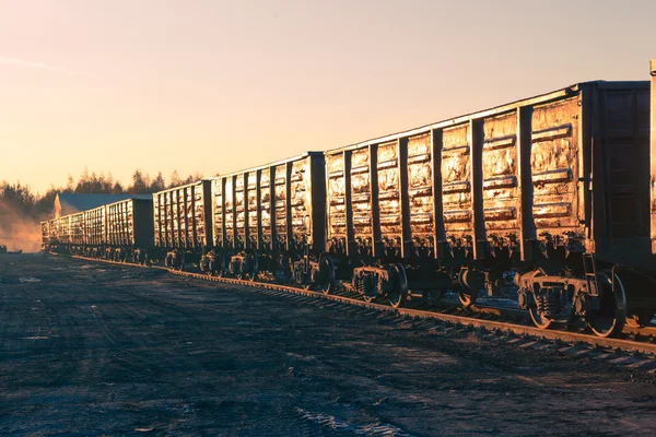 Freight train goods wagons at sunset — Stock Photo, Image