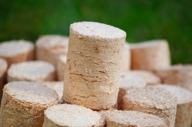 yeşil çim zemin üzerine ahşap parçaları