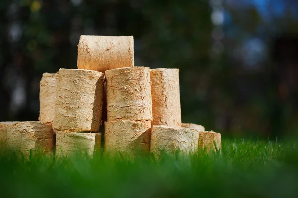 Holzpellets auf grünem Gras Hintergrund — Stockfoto