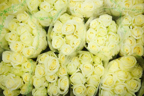 Rosas verdes en el mercado mayorista de flores — Foto de Stock