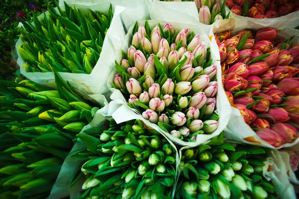 Tulpen auf dem Blumen-Großmarkt — Stockfoto