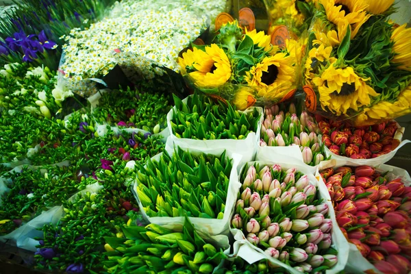 Mangfold av fargeblomster på grossistmarkedet – stockfoto