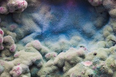 Makro kalıp rahatlama