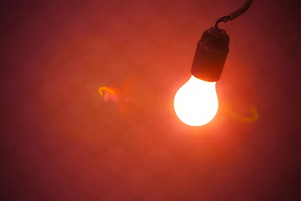Světlo lamp žárovky na červeném pozadí — Stock fotografie