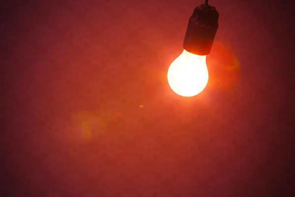 Lâmpada de luz no fundo vermelho — Fotografia de Stock