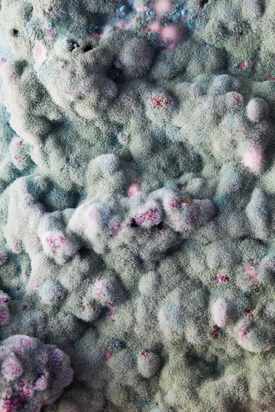 Макрос рельефа плесени — стоковое фото
