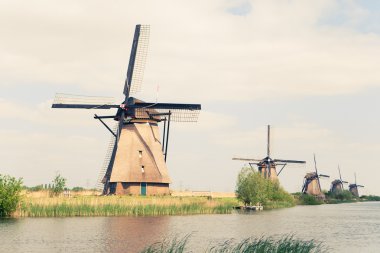 geleneksel yel değirmenleri Hollanda