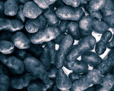 truffle vitelotte patates