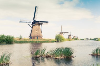 geleneksel yel değirmenleri Hollanda