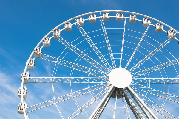 Rueda de hurón blanco contra fondo azul cielo — Foto de Stock