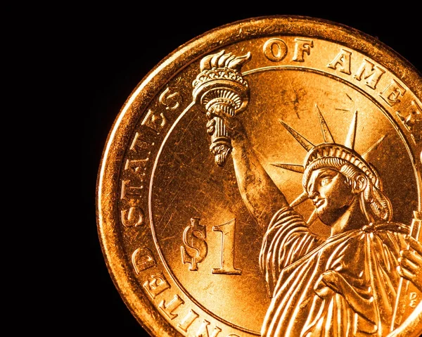 Gyllene dollar mynt del, makro Visa — Stockfoto