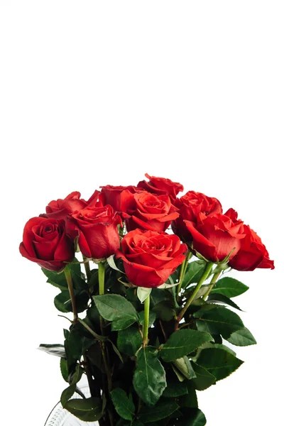 Rose bouquet isolated on white — Stock Photo, Image