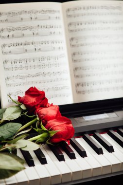 piyano tuşları ve müzik kitap kırmızı gül