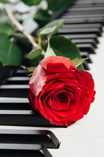 Клавіші для фортепіано і червона троянда — стокове фото