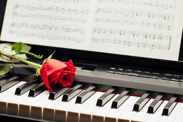 在钢琴键和音乐书上的红玫瑰 — 图库照片