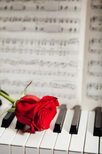 Червона троянда на клавішах піаніно та музичній книзі — стокове фото