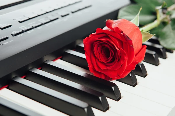 피아노 키와 붉은 장미 — 스톡 사진