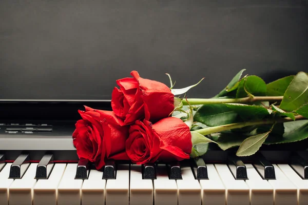 Клавіші піаніно і червона троянда з простором для копіювання — стокове фото