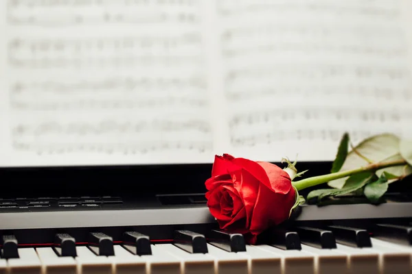 Rudá růže na klávesy klavíru a hudební knihy — Stock fotografie