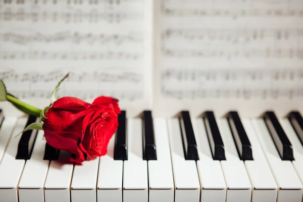 在钢琴键和音乐书上的红玫瑰 — 图库照片