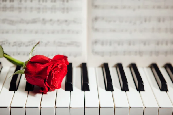 Rosa rossa sui tasti del pianoforte e sul libro di musica — Foto Stock