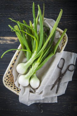 Taze taze soğan ve eski makas