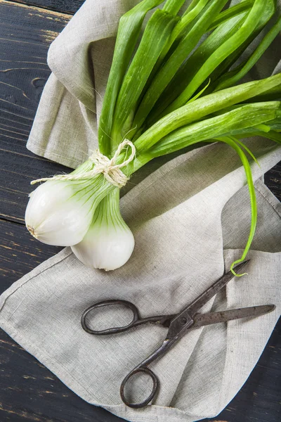 Fresh spring onions and old scissors — Stock Photo, Image