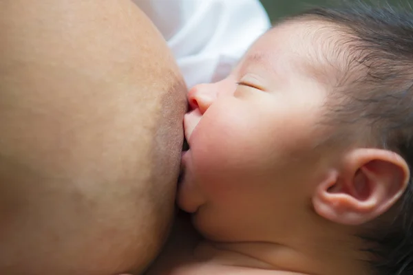 Mother breastfeeding her newborn baby — Stock Photo, Image