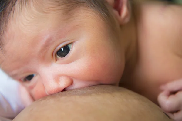 Mama alăptează nou-născutul — Fotografie, imagine de stoc