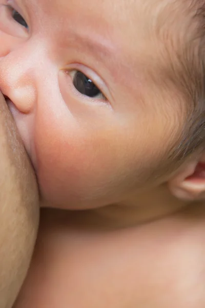 Mutter stillt ihr Neugeborenes — Stockfoto