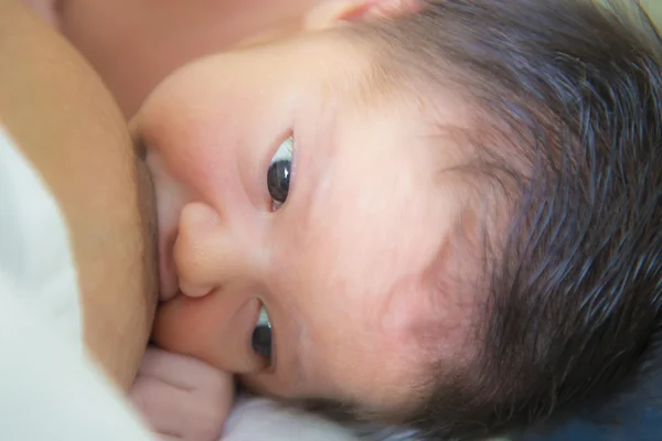 母亲给新生婴儿喂奶 — 图库照片