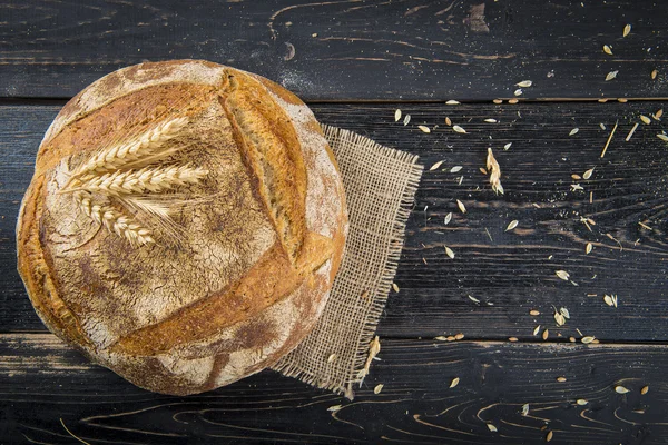 Hemlagad sourdouhg brödlimpa — Stockfoto