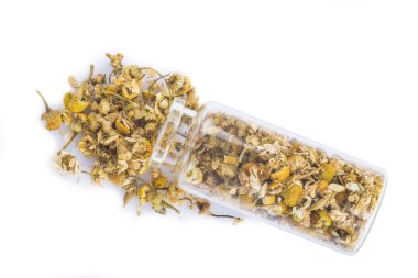 Beyaz bir arka plan üzerinde izole papatya