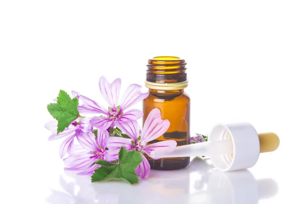 Dropper bottle with mallow malva extract — Stock Photo, Image