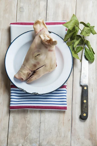 Cabeza cruda de un cerdo chupador — Foto de Stock