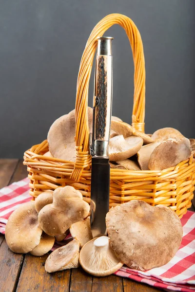 Mand Met Verse Distel Champignons Een Mes — Stockfoto