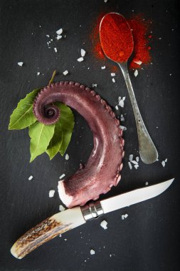 Tahta tabakta ahtapot pişirdim. Baharatlı baharatlar.