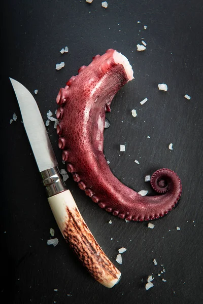 Vařená Chobotnice Břidlicovém Talíři Zdobená Příchutí Koření — Stock fotografie