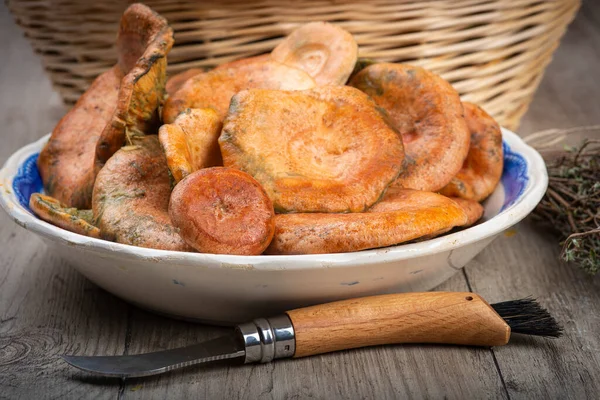 Safran süt kapakları ya da mutfak masasındaki sepet ve kaselerde kırmızı çam mantarları.