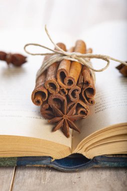 Tarçın çubuğu demeti ve yıldız anason eski bir kitapta