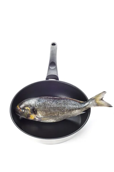 Gilt-head sea bream fish on a pan isolated — Stock Photo, Image