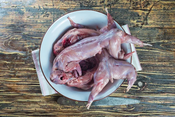 Rabbit meat from rabbiting to be cooked — Stock Photo, Image