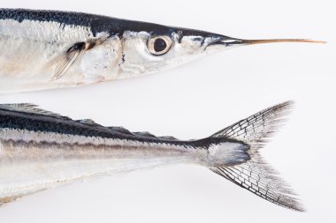 Sağlıklı bir diyet için taze needlefish