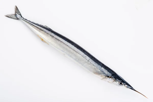 Sağlıklı bir diyet için taze needlefish — Stok fotoğraf