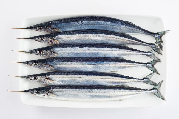 Fresh needlefish for a healthy diet — Stock Photo, Image