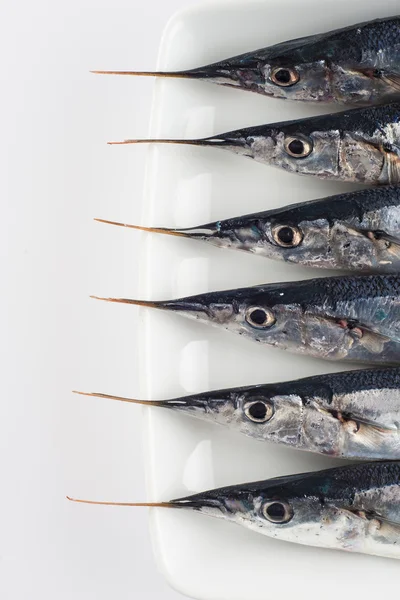 Ago di pesce fresco per una dieta sana — Foto Stock