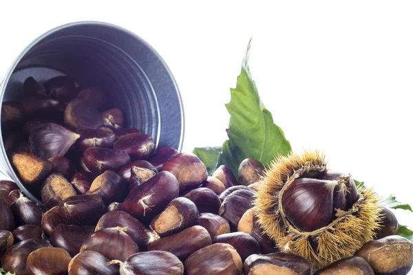 Kastanjes in een emmer geïsoleerd op een witte achtergrond — Stockfoto