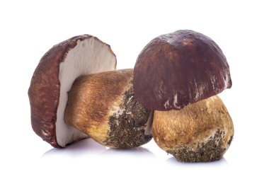 Beyaz bir arka plan üzerinde izole boletus mantarı