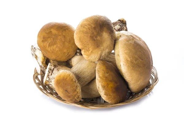 Boletus edulis em uma tigela de frutas de vime — Fotografia de Stock