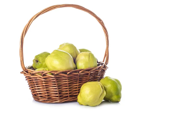 Basket with quinces isolated on white background — Stock Photo, Image